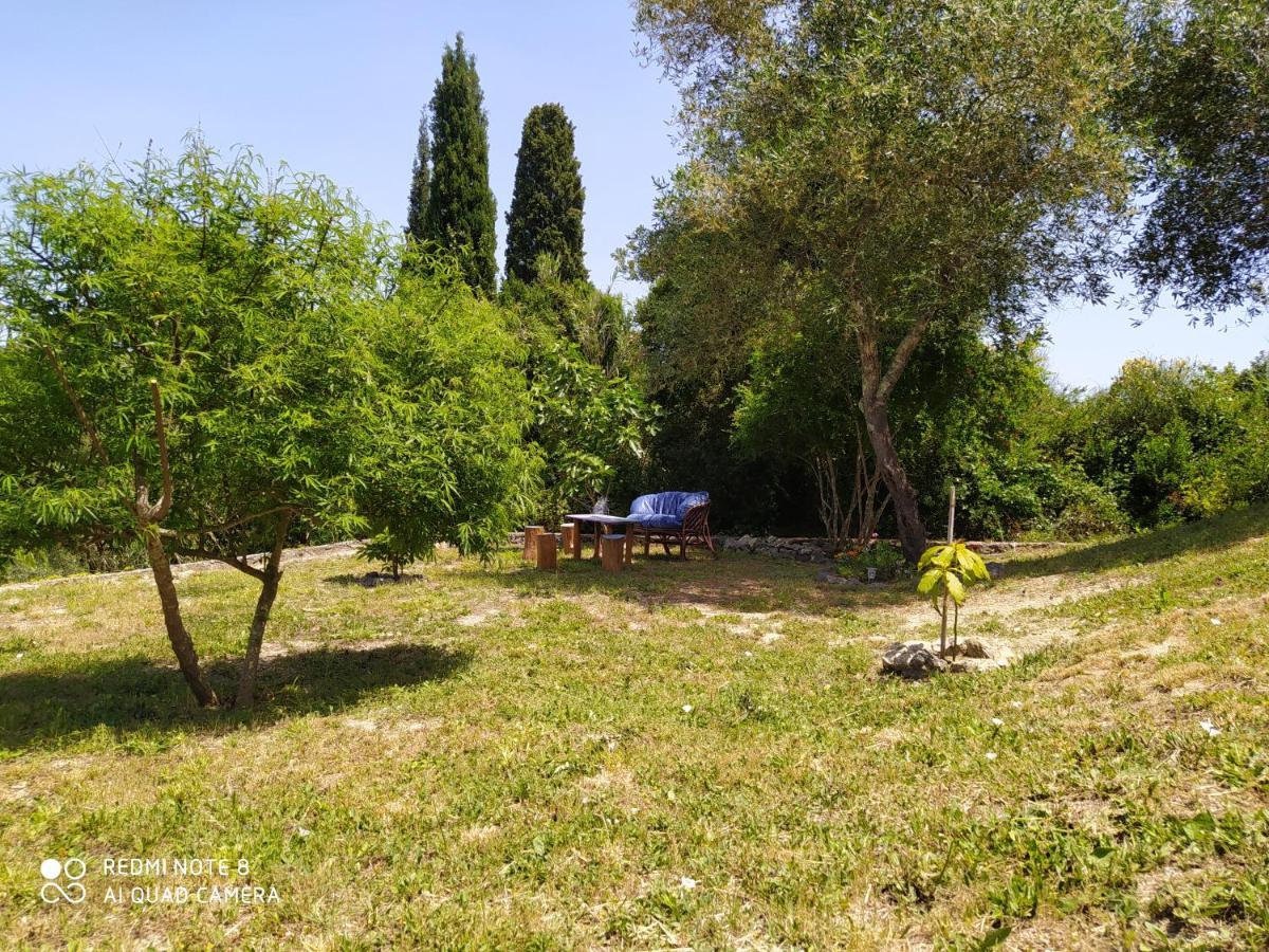 Corfu Villa Galini Potamos  Exterior photo