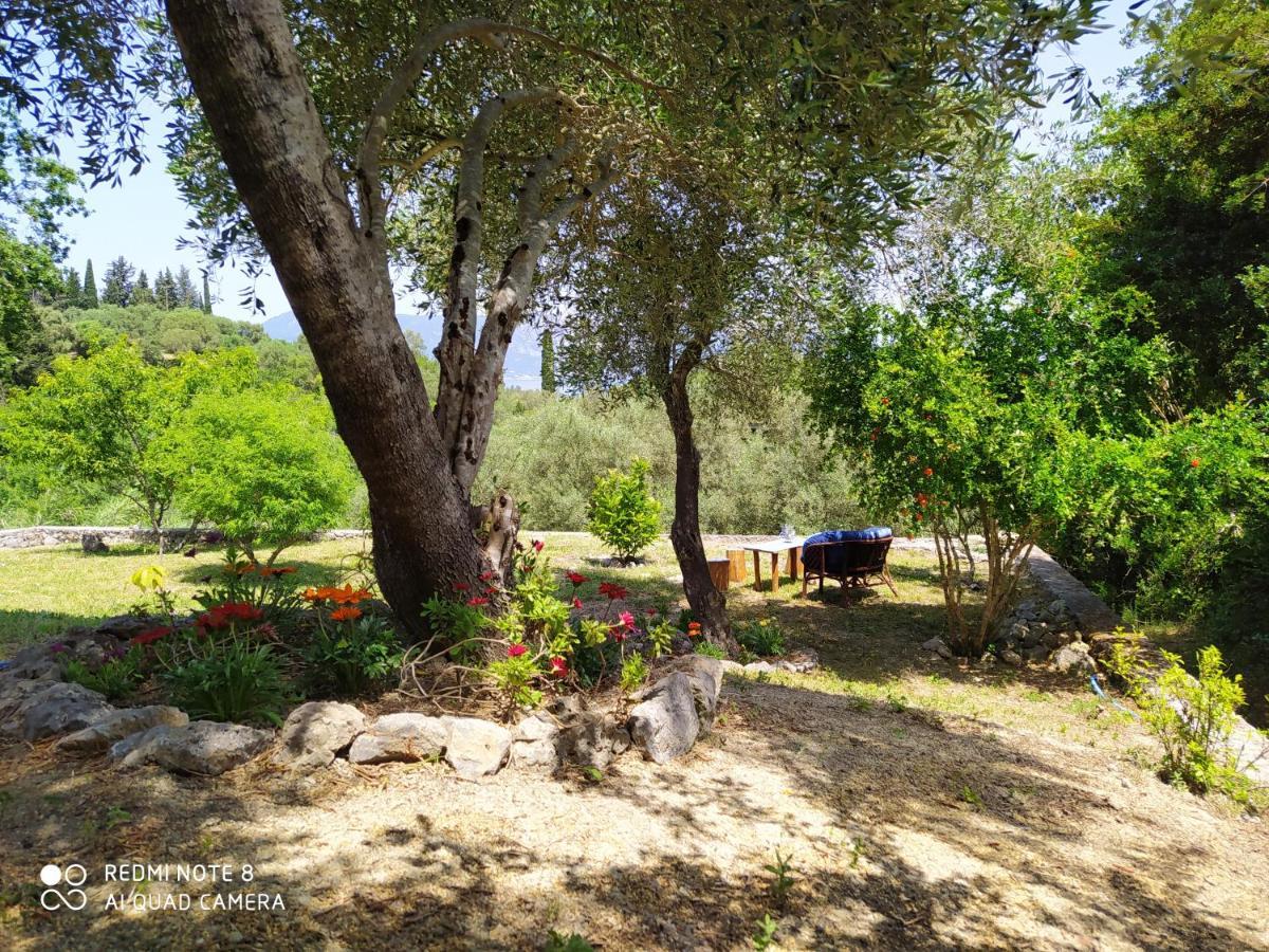 Corfu Villa Galini Potamos  Exterior photo