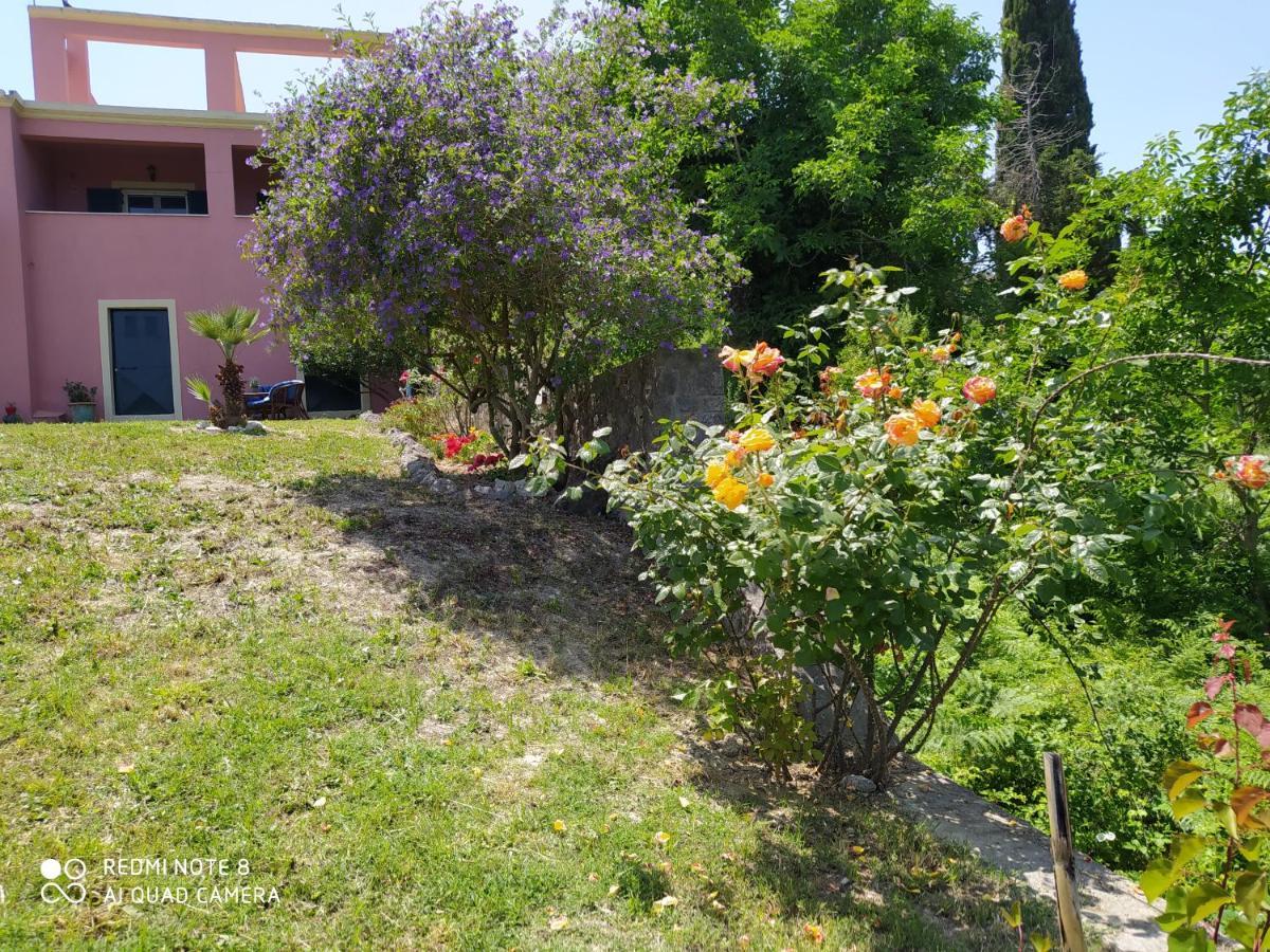 Corfu Villa Galini Potamos  Exterior photo